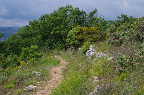Chemin du Castellet
