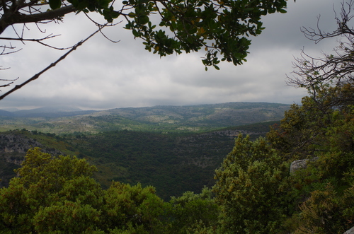 Point de vue depuis le Castellet (Montagne)
