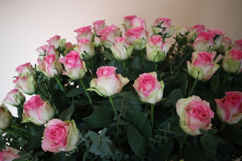 Roses blanches, coeur rose
